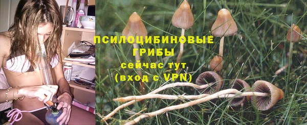 сатива Арсеньев