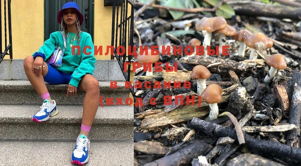 тгк Сосновоборск
