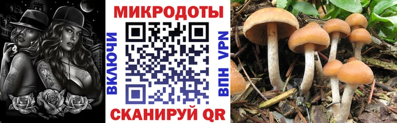 наркотики  Новоуральск  Псилоцибиновые грибы мухоморы 